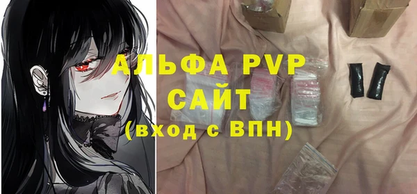 стафф Елизово