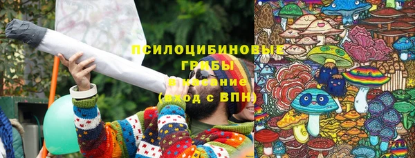 стафф Елизово