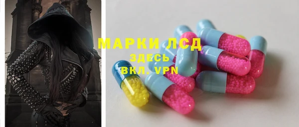 стафф Елизово