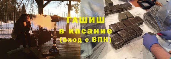 стафф Елизово