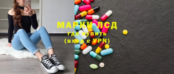 стафф Елизово
