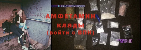 стафф Елизово