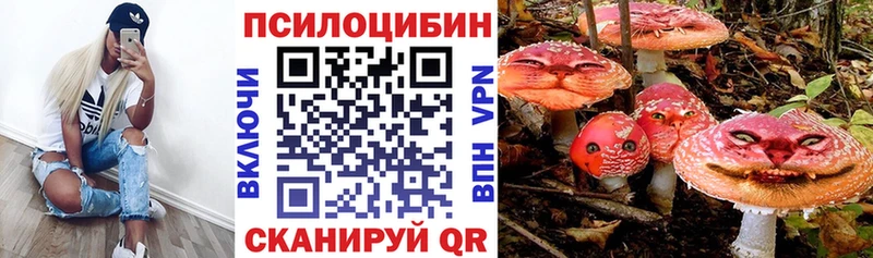 Купить закладки  Невельск  Псилоцибиновые грибы ЛСД 